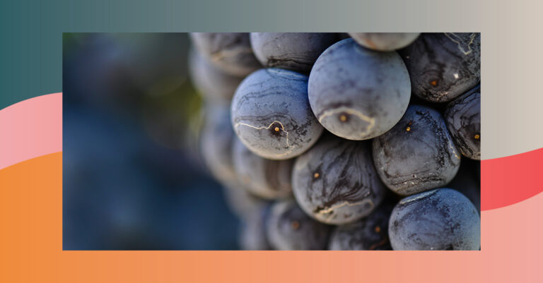 Les 10 vins Napa les plus populaires au monde (2023)

