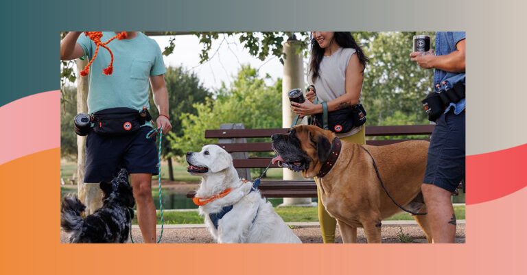 Tito's Pet-Themed Merch est là pour rendre la promenade de votre chien un peu plus alcoolisée


