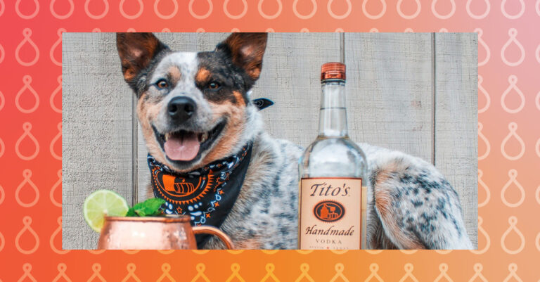 'Vodka for Dog People' Les cadeaux de Tito 50 000 $ au refuge de sauvetage de New York

