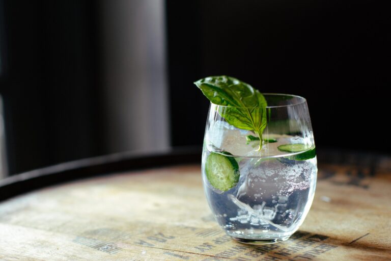 Gin Sonic Recipe : Une version plus légère et plus rafraîchissante du Gin and Tonic
