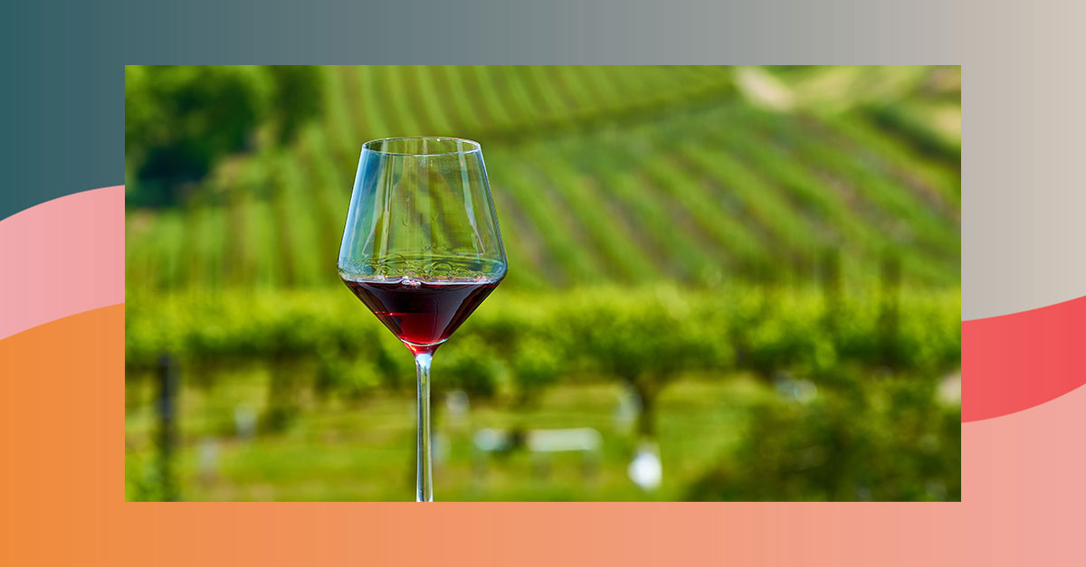 La dégustation de vin dans la Napa Valley est plus chère que jamais