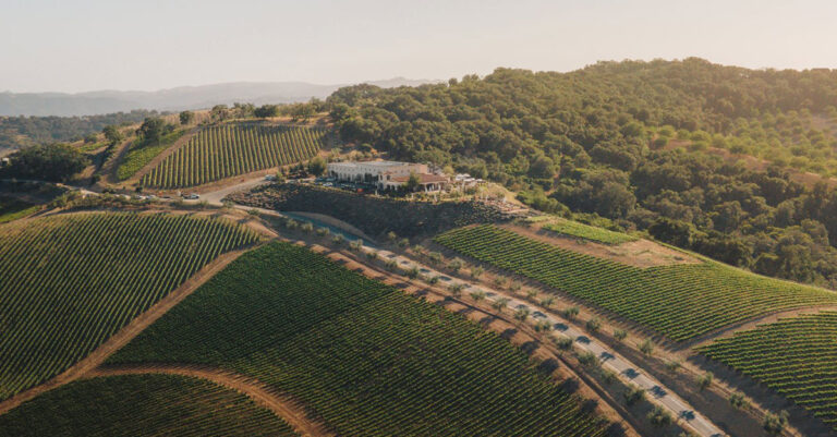 Treasury Wine Estates acquiert les vignobles DAOU en Californie dans le cadre d'un accord de 900 millions de dollars

