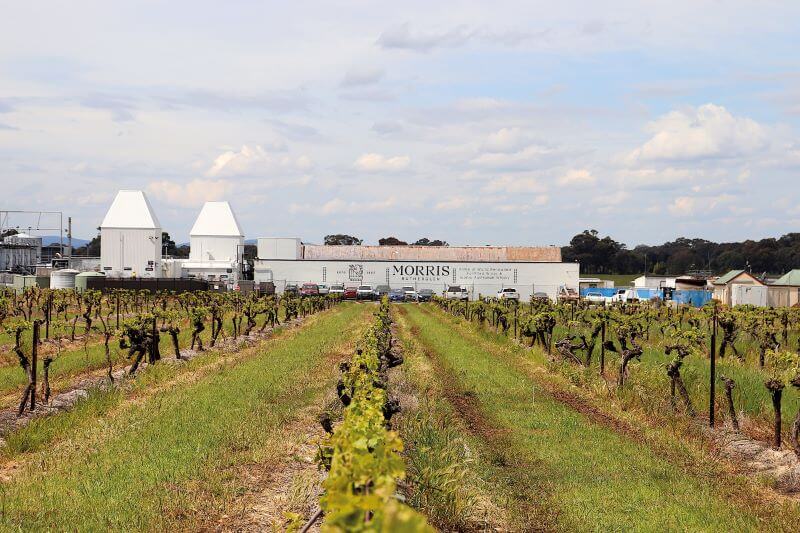 Sur la vigne : l'affinité des producteurs de whisky australiens pour les fûts de vin
