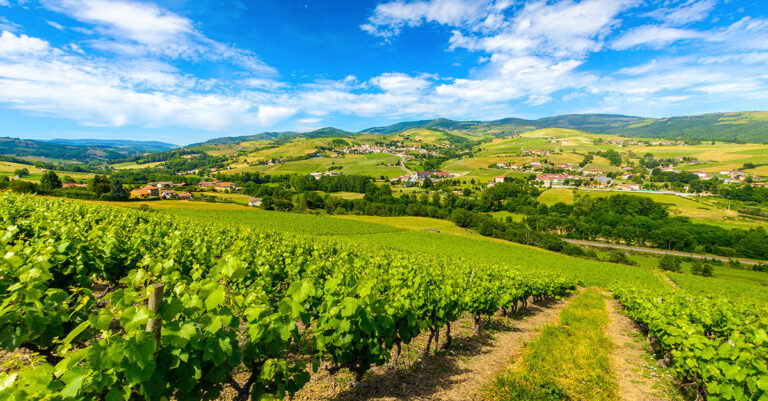 Des archéologues découvrent un domaine viticole vieux de 1 900 ans dans la vallée du Rhône en France

