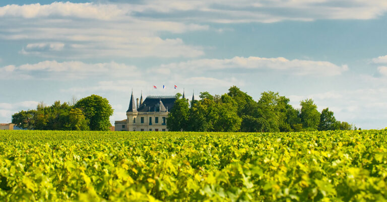 L'IA identifie correctement les châteaux viticoles de Bordeaux, mais cela prouve-t-il que le terroir existe réellement ?

