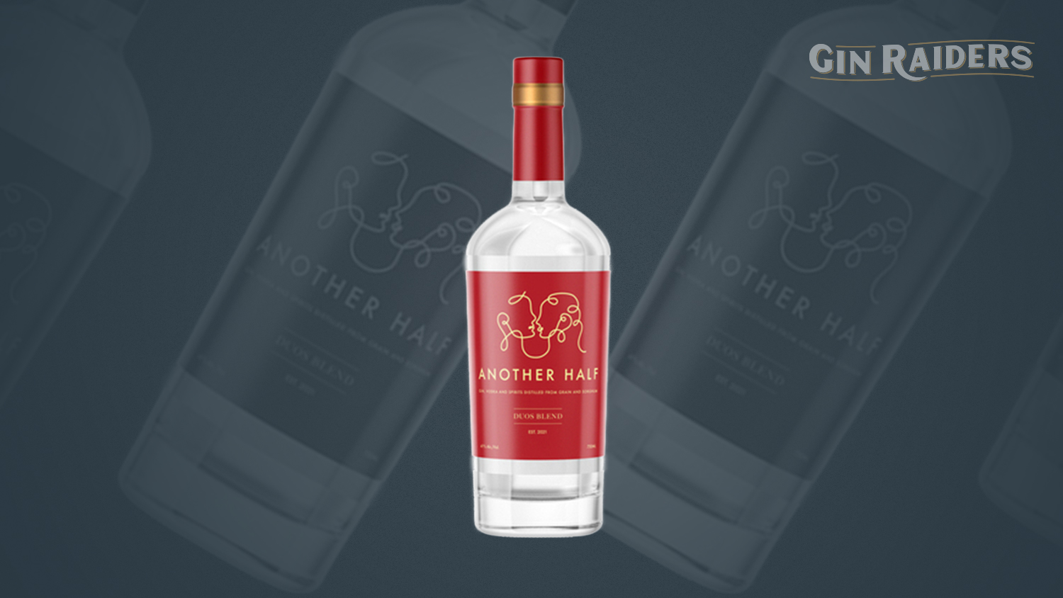 Les 5 meilleurs gins que nous avons dégustés en novembre 2023
