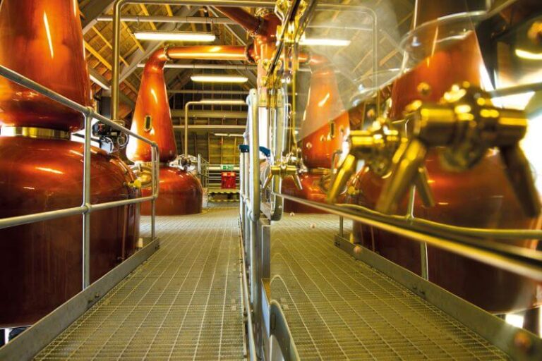 Focus sur la distillerie : Nc'nean — La première distillerie carboneutre du Royaume-Uni
