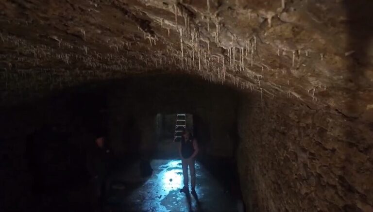 Une cave à bière historique « C'était fou » découverte par une équipe de construction
