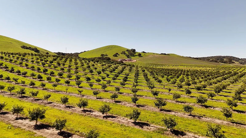 Un ranch actuellement en vente en Californie pour 10,5 millions de dollars.
