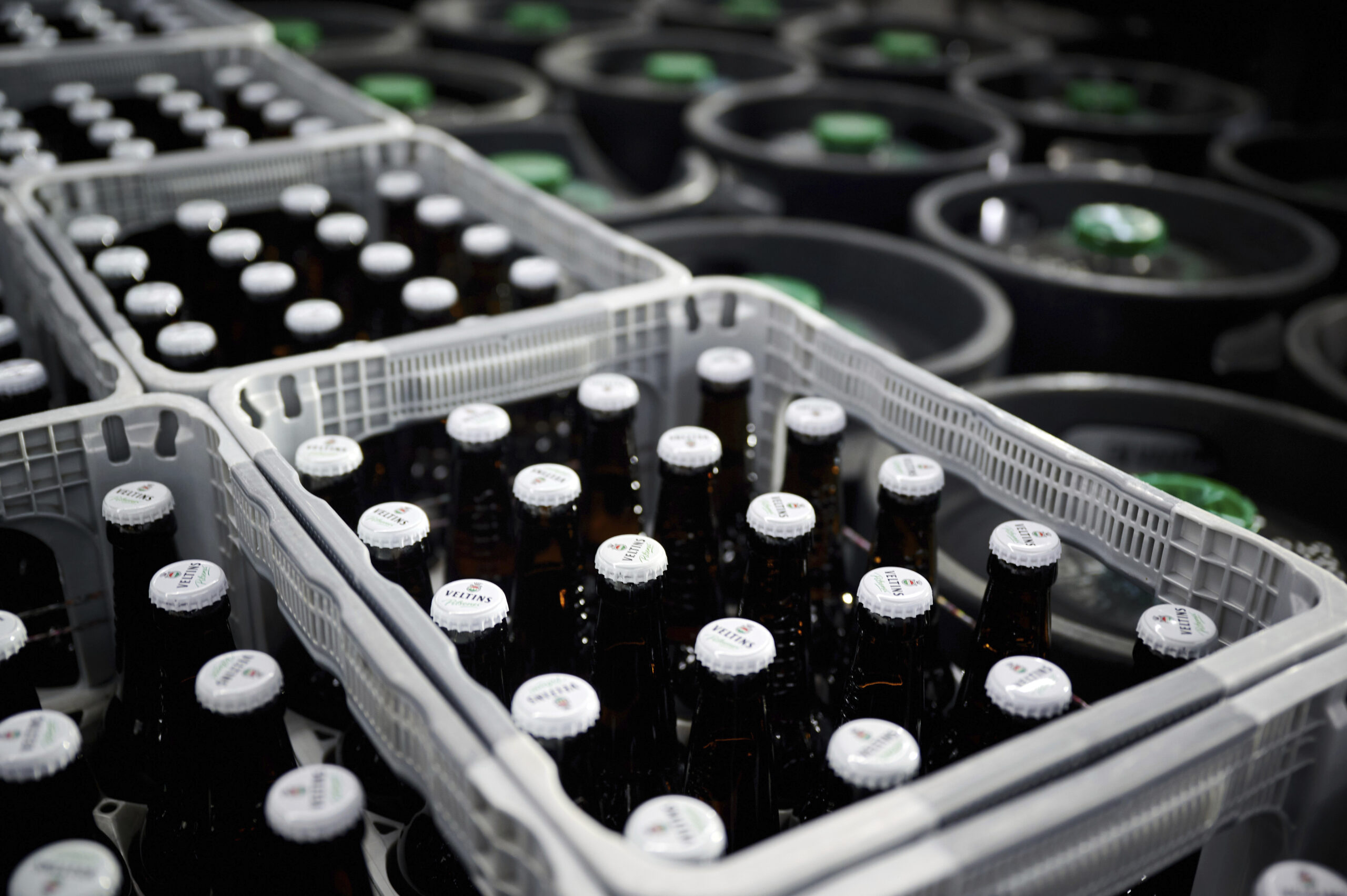 Les sans-abri de San Francisco se sont vu offrir de l'alcool gratuit dans le cadre d'un programme