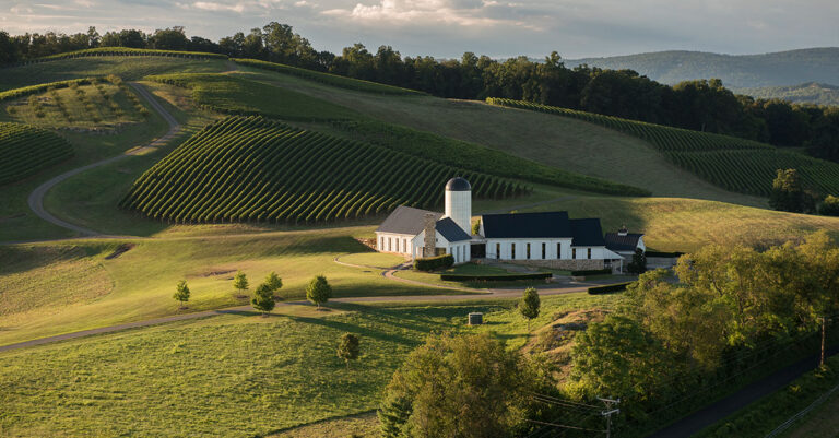 Le célèbre domaine bordelais parie gros sur le vin de Virginie avec l'acquisition de RdV Vineyards

