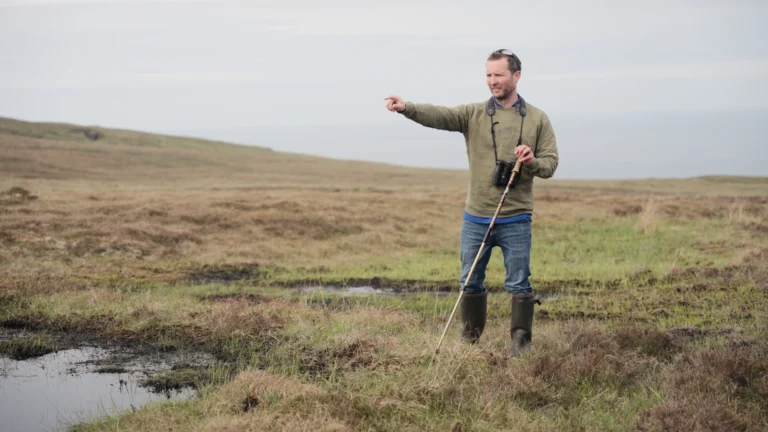 New video showcases collaboration behind Suntory peatland programme