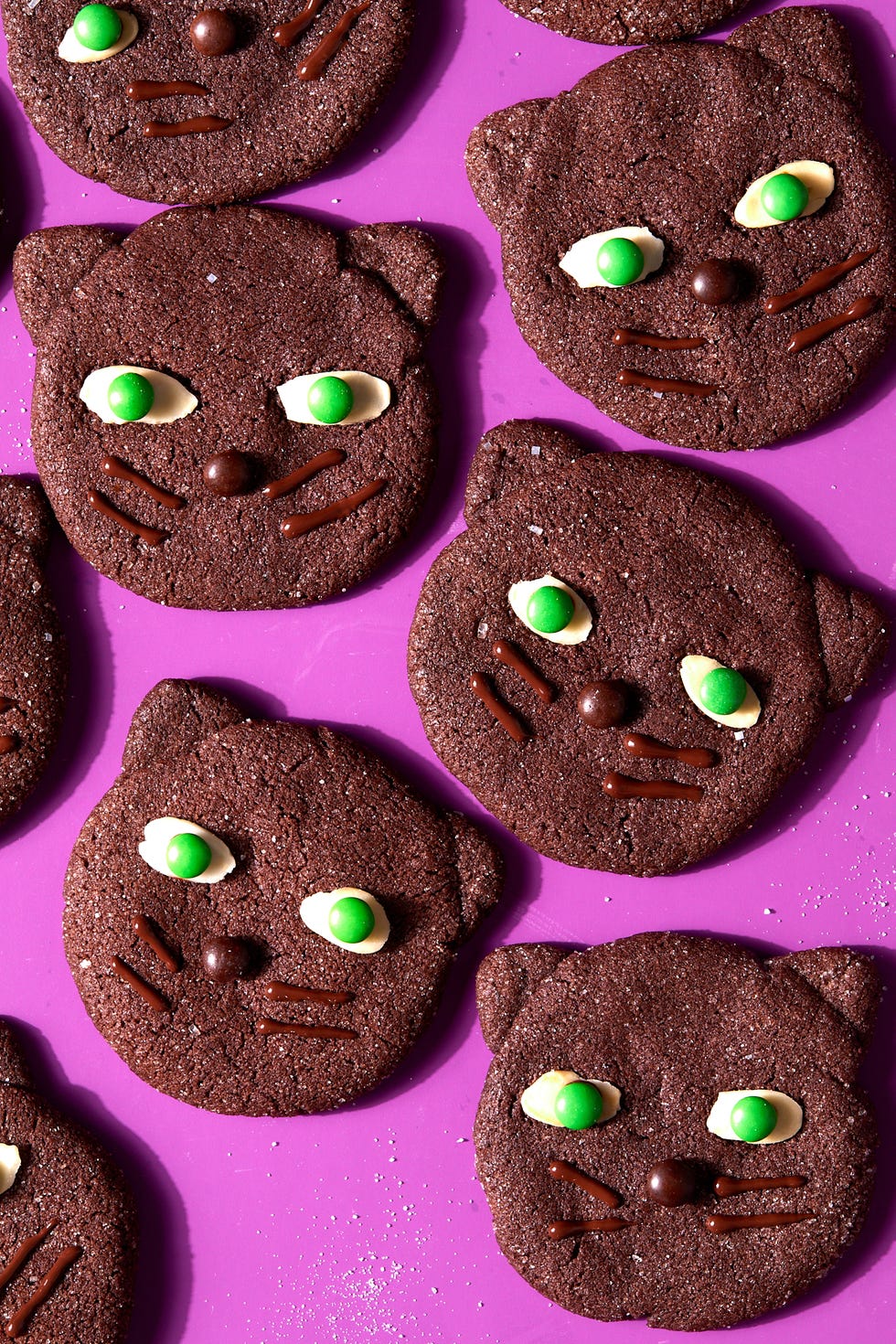 Biscuits Hocus Pocus Binx Biscuits Hocus Pocus Binx