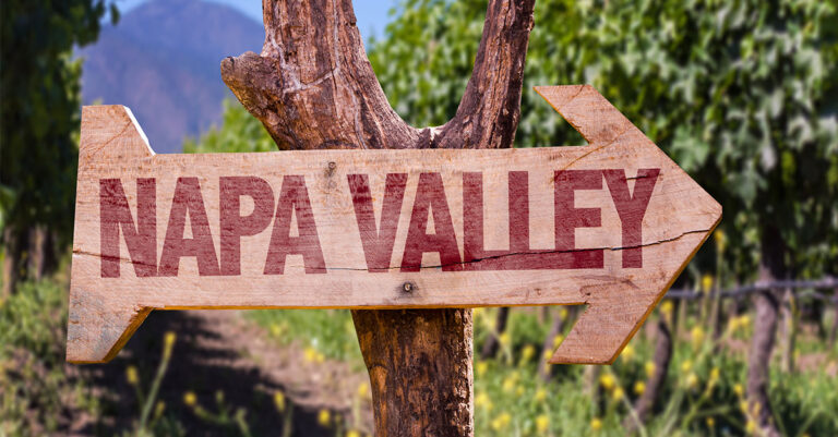 Les 10 vins Napa les plus chers au monde (2024)

