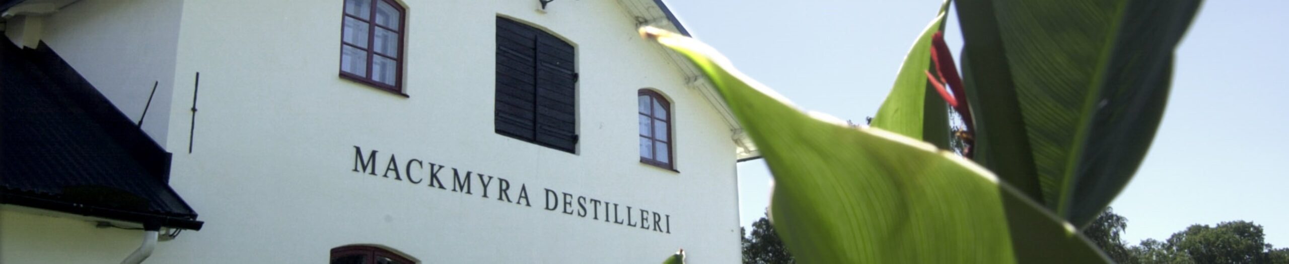 Mackmyra purchased after filing for bankruptcy