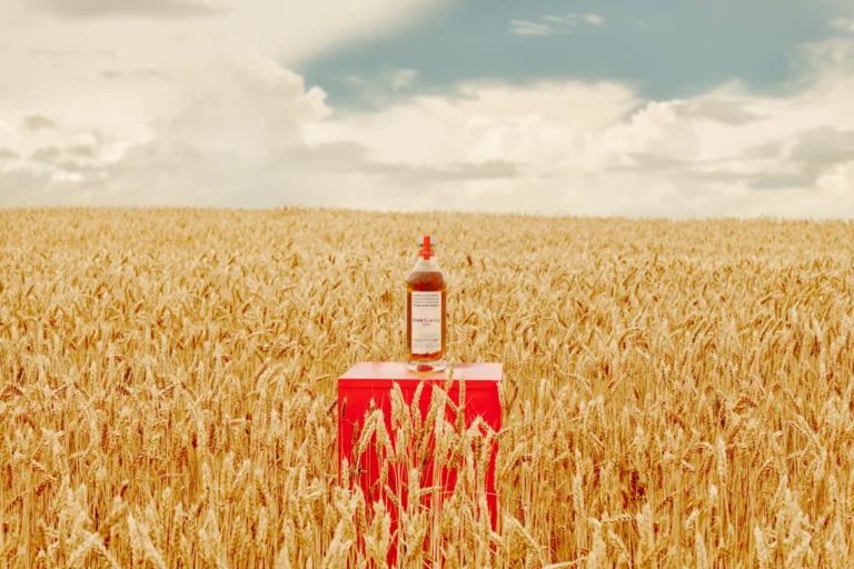 Programme "Whisky Certified" Lancé par l'Université du Kentucky

