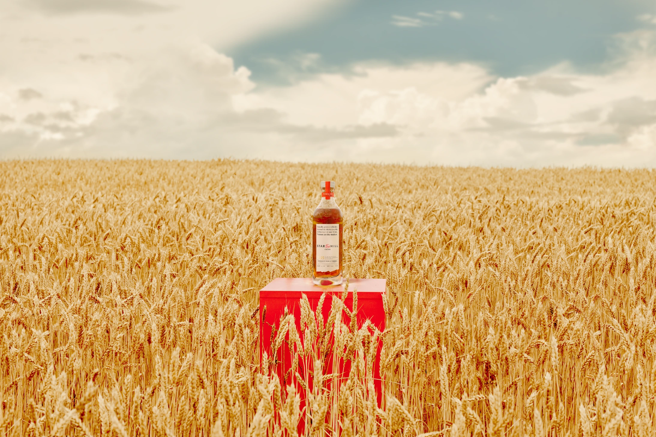 Programme "Whisky Certified" Lancé par l'Université du Kentucky