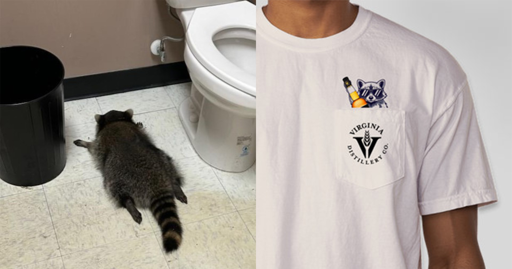 Le « raccoon ivre » viral commémoré par une collecte de fonds