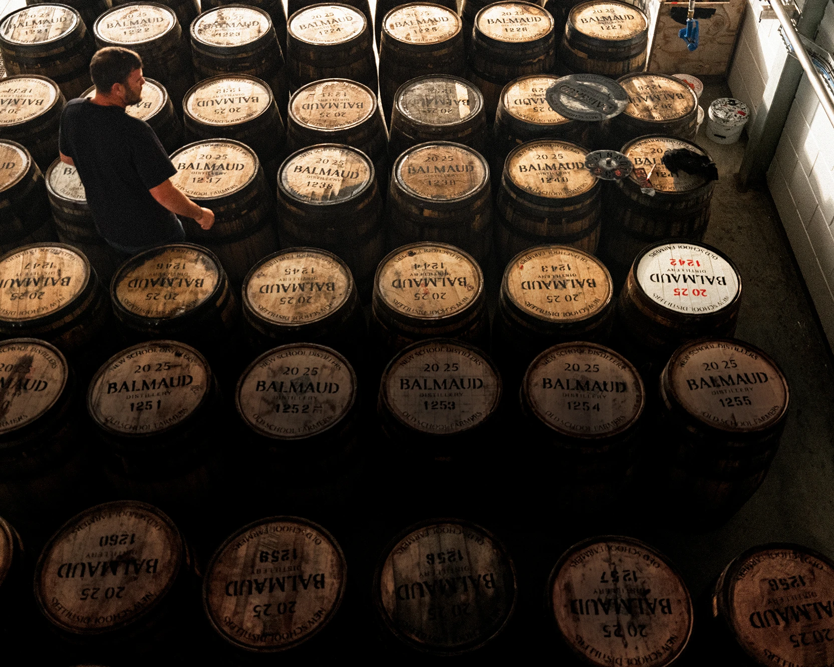 Traditional farming meets modern whisky making at Balmaud Distillery