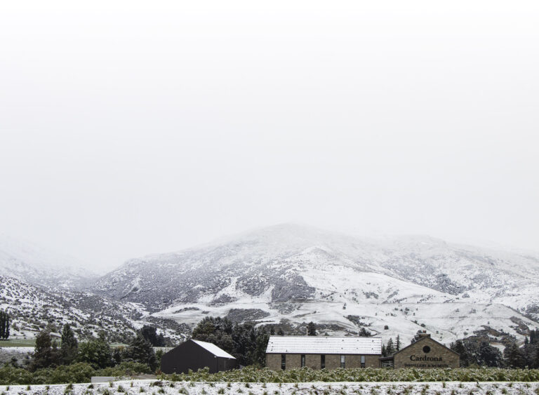 Snow and spirits at New Zealand
