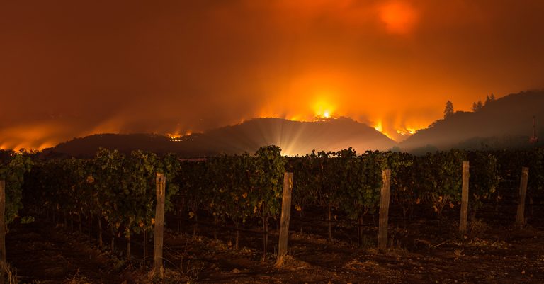Bilan hebdomadaire de Booze News : les conséquences des incendies de forêt persistent à Bordeaux, les utilisateurs de marijuana dépassent les buveurs, et plus encore

