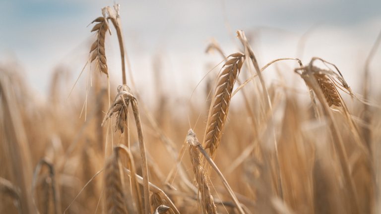 «Nous avons une marque de whisky de malt haut de gamme et accessible provenant d'une nouvelle partie de l'Écosse» — Giancarlo Bianchi évoque une étape majeure pour The Borders Distillery
